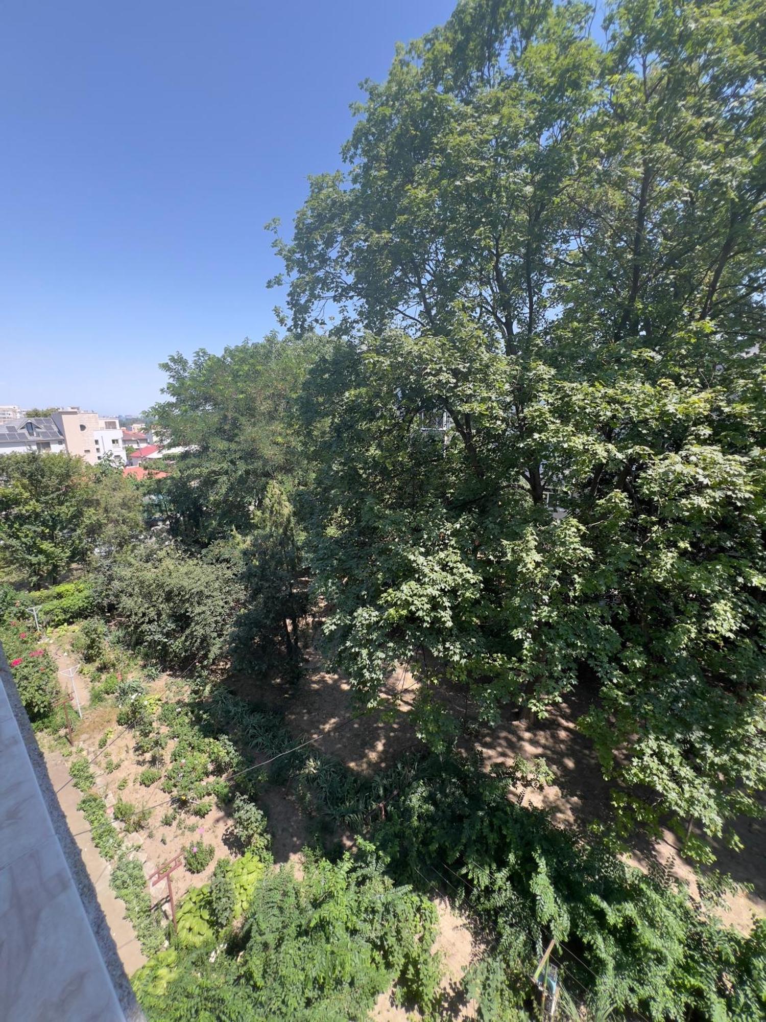 קונסטנצה Luxe Apartment Andreea מראה חיצוני תמונה